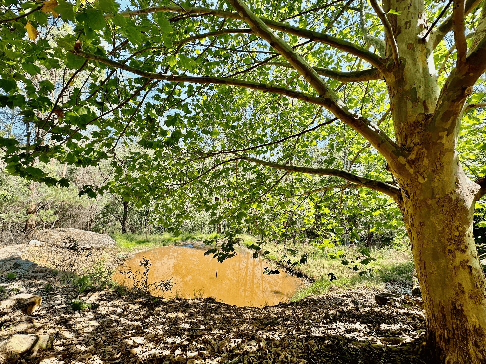 Lot 84, 4320 Putty Road, Howes Valley, NSW 2330