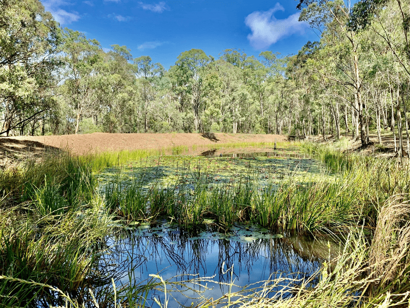 63 Blackwattle Track, Laguna, NSW 2325