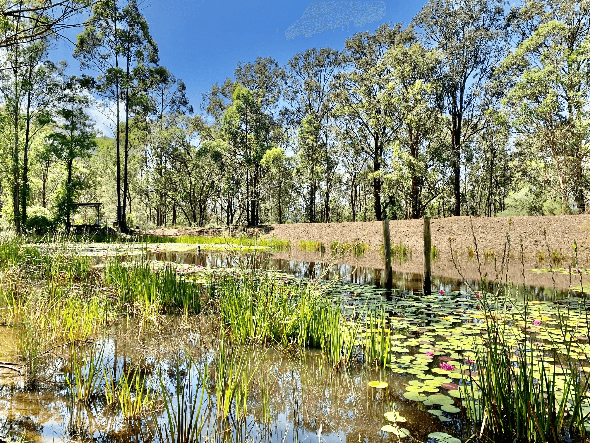 63 Blackwattle Track, Laguna, NSW 2325