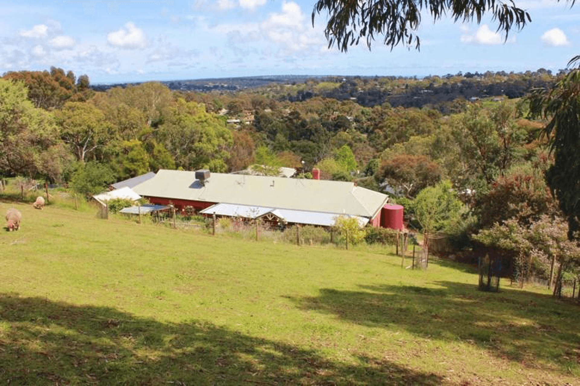 5 Currawong Crescent, Coromandel Valley, SA 5051