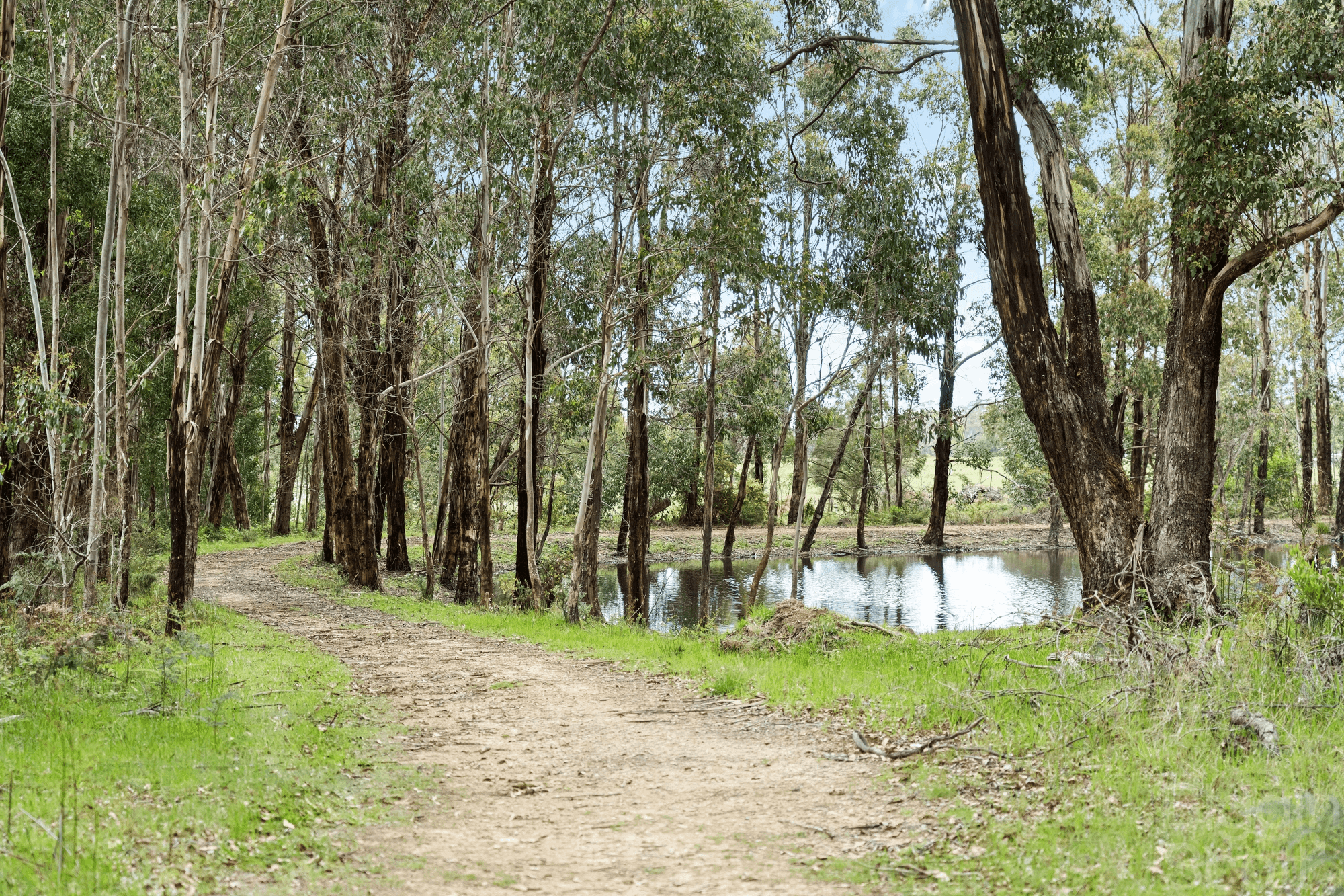 1872 Ballan-Daylesford Road, KORWEINGUBOORA, VIC 3461