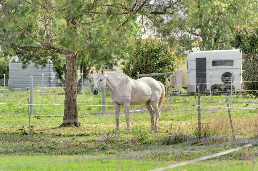 34 Sparksman Road, MOUNT MARSHALL, QLD 4362