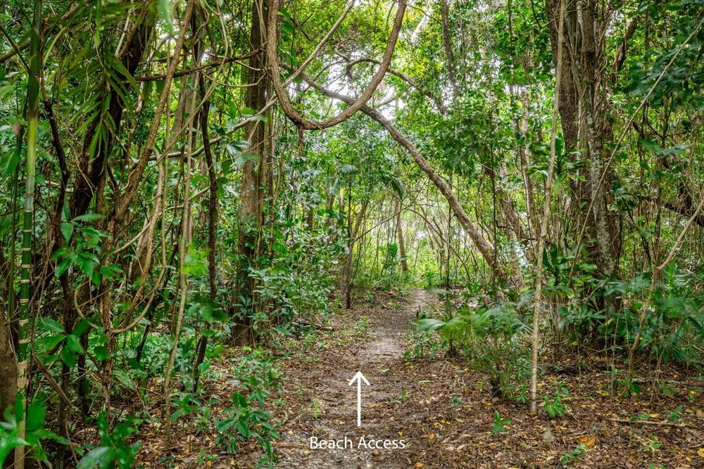 3/24 Solander Boulevard, PORT DOUGLAS, QLD 4877