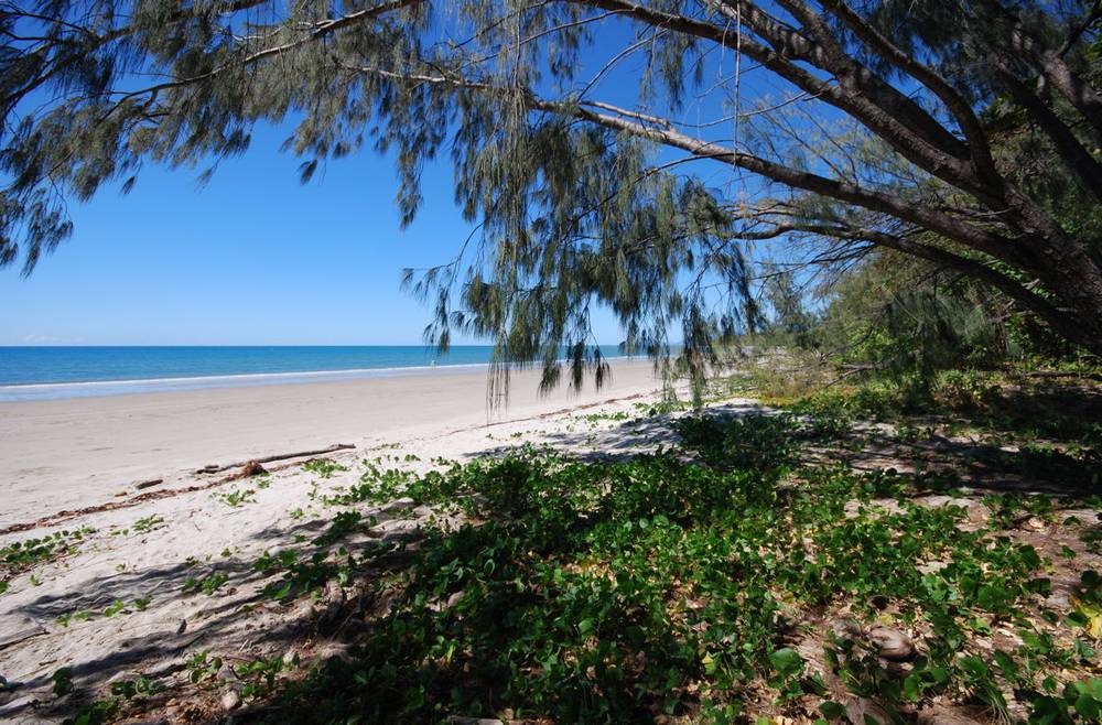 3/24 Solander Boulevard, PORT DOUGLAS, QLD 4877