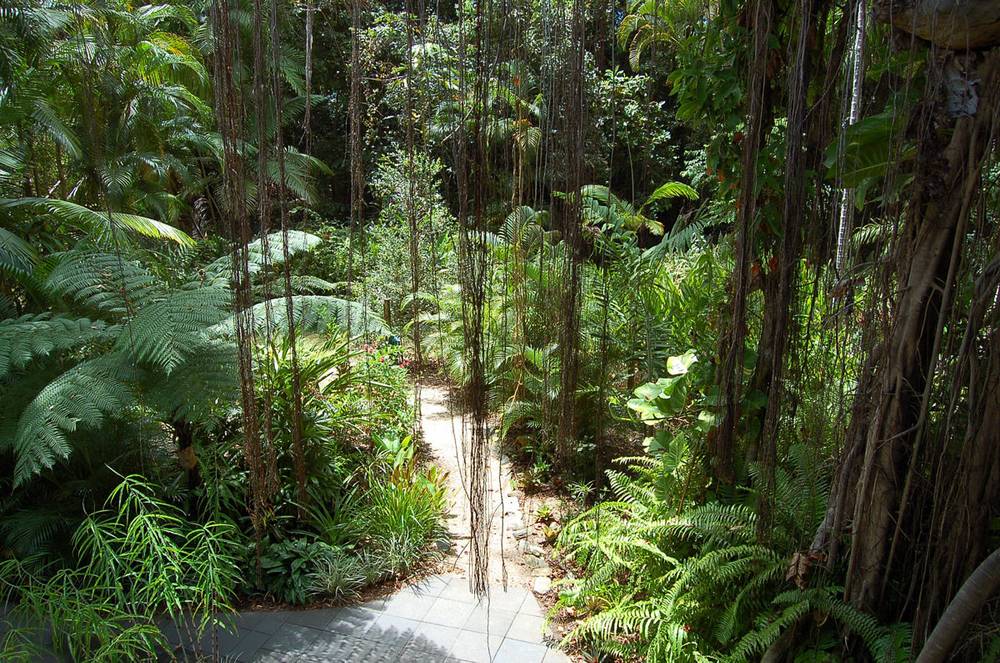 3/24 Solander Boulevard, PORT DOUGLAS, QLD 4877