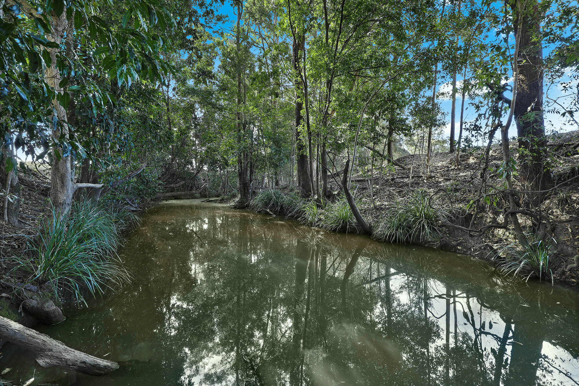 Lot 4/91 Yandina Bli Bli Road, YANDINA, QLD 4561