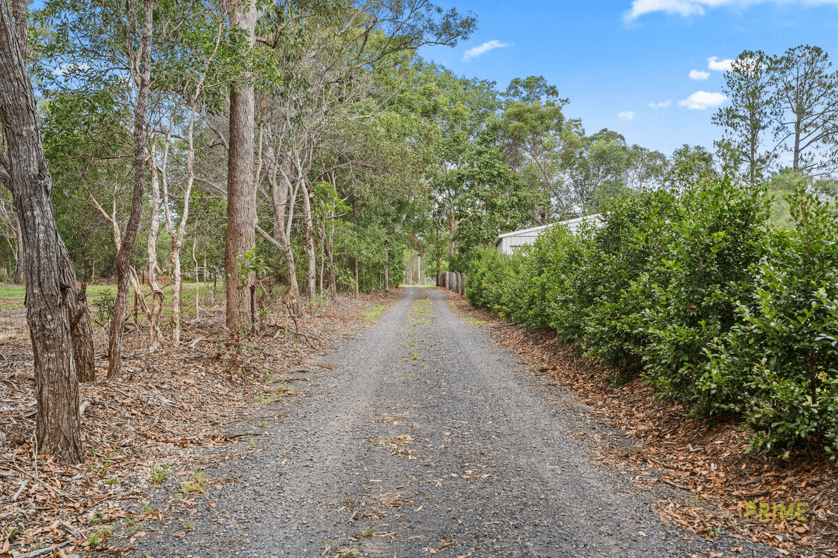 230 Condor Drive, Sunshine Acres, QLD 4655