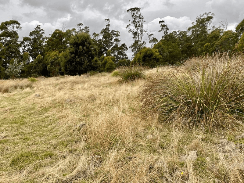 83 Kellys Cage Road, Weegena, TAS 7304