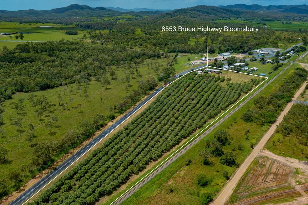 8553 Bruce Highway, Bloomsbury, QLD 4799