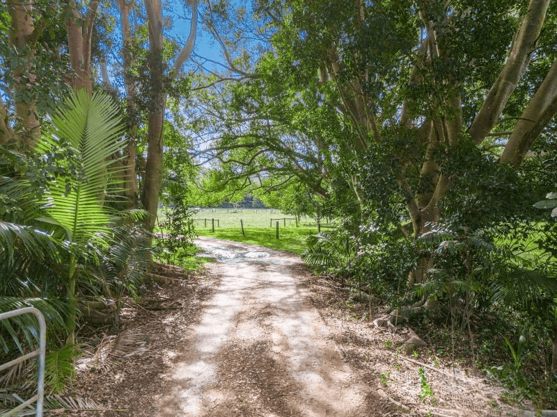 308 Tomewin Road, DUNGAY, NSW 2484