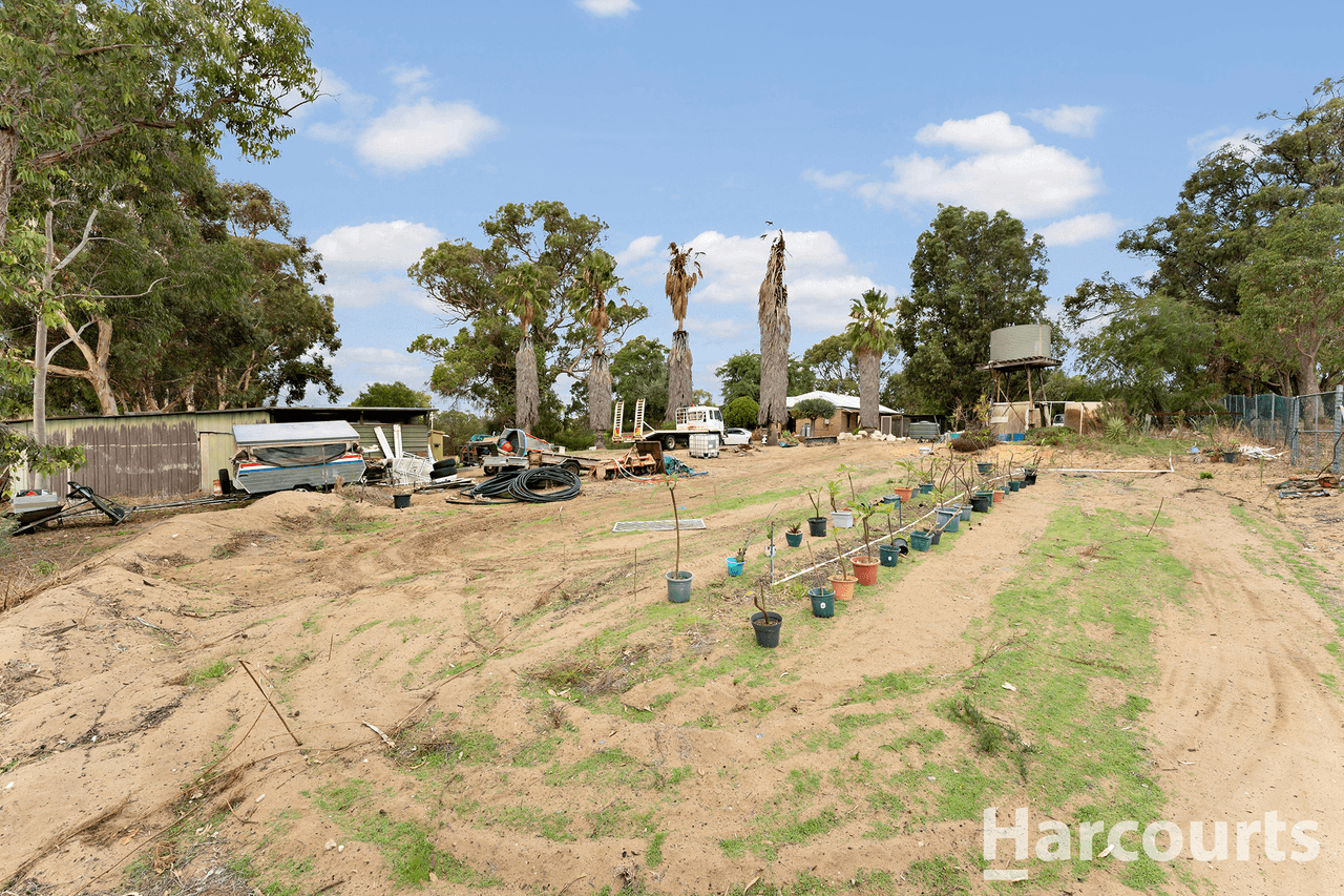 169 Mulga Drive, PARKLANDS, WA 6180