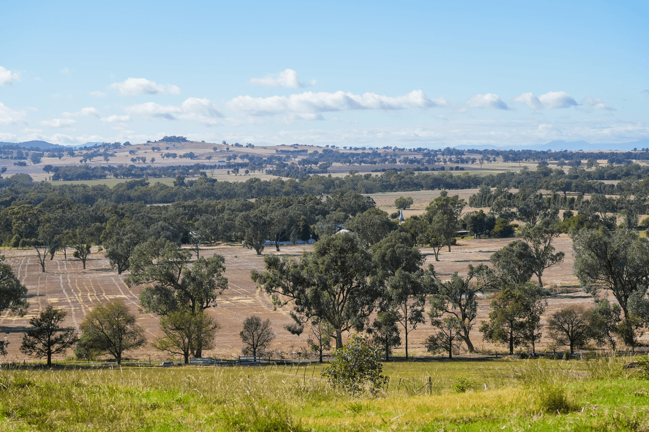 42 Beatrice Road, BURRUMBUTTOCK, NSW 2642