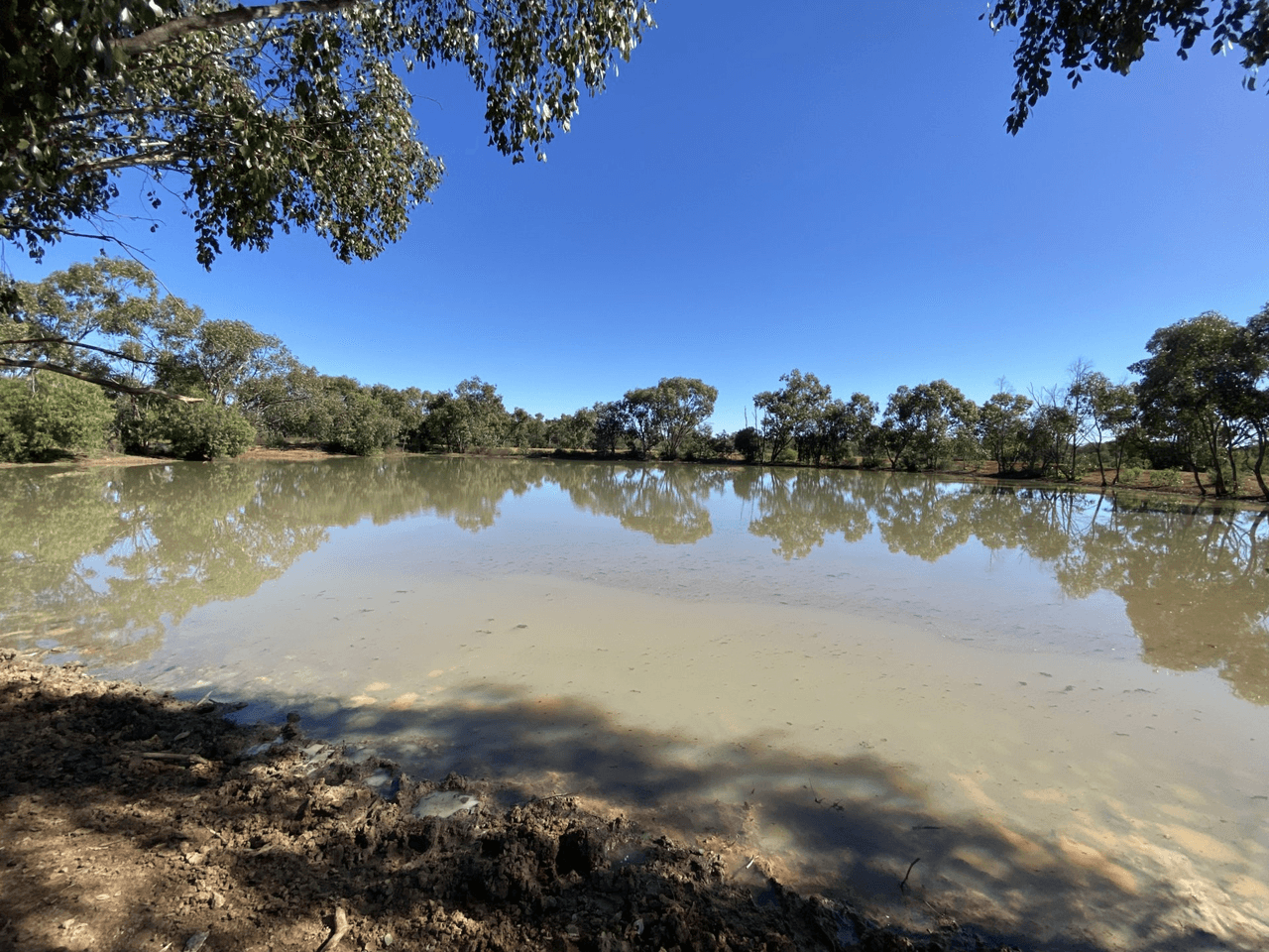 14677 Charleville-Bollon Road, MORVEN, QLD 4468