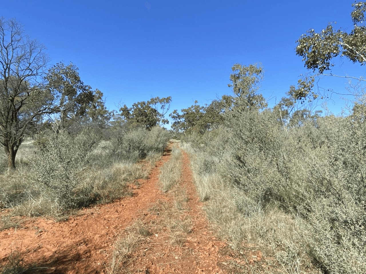 14677 Charleville-Bollon Road, MORVEN, QLD 4468