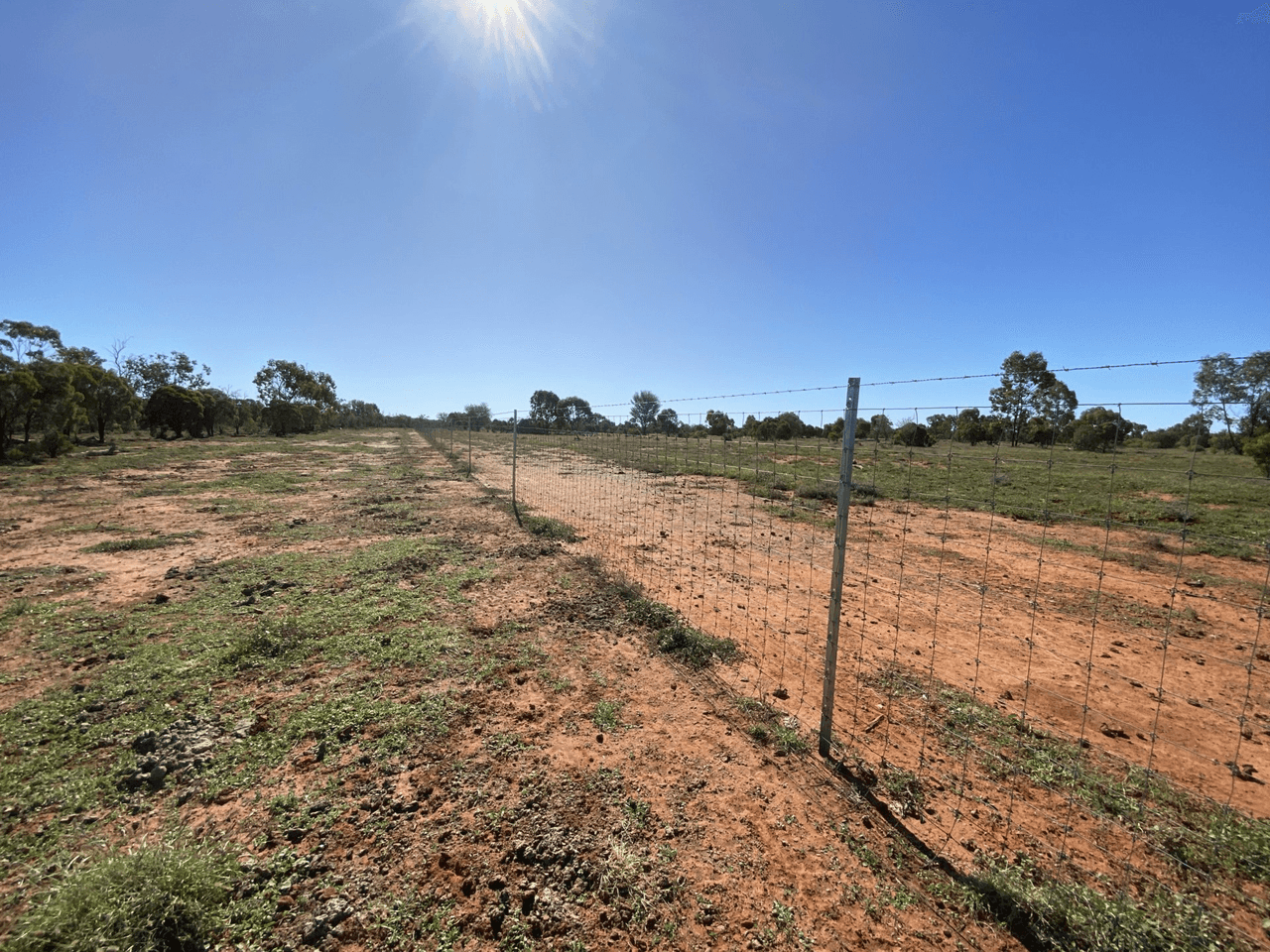 14677 Charleville-Bollon Road, MORVEN, QLD 4468