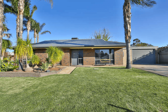 41 Crane Drive, BURONGA, NSW 2739