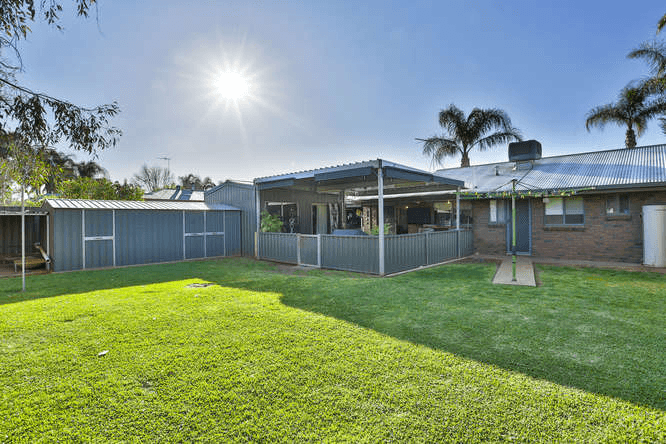 41 Crane Drive, BURONGA, NSW 2739