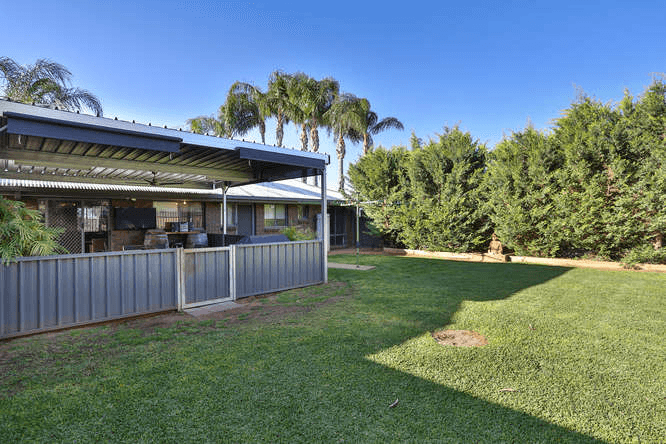 41 Crane Drive, BURONGA, NSW 2739