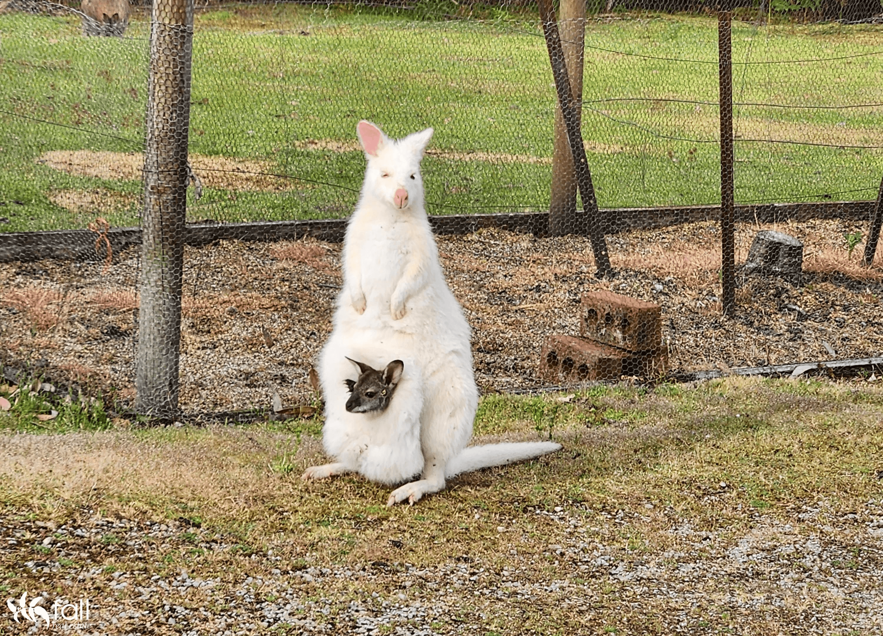 654 Adventure Bay Road, ADVENTURE BAY, TAS 7150