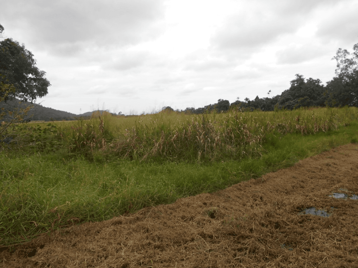 Bruce Highway, Bemerside, QLD 4850