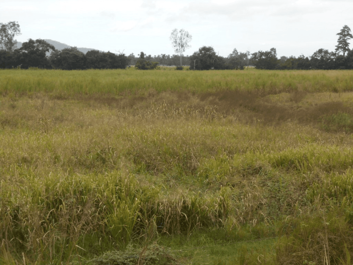 Bruce Highway, Bemerside, QLD 4850