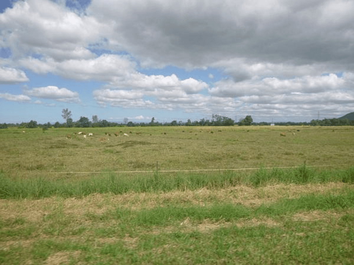 Bruce Highway, Bemerside, QLD 4850