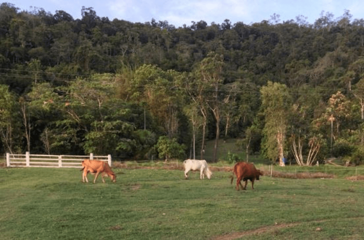 Bruce Highway, Bemerside, QLD 4850
