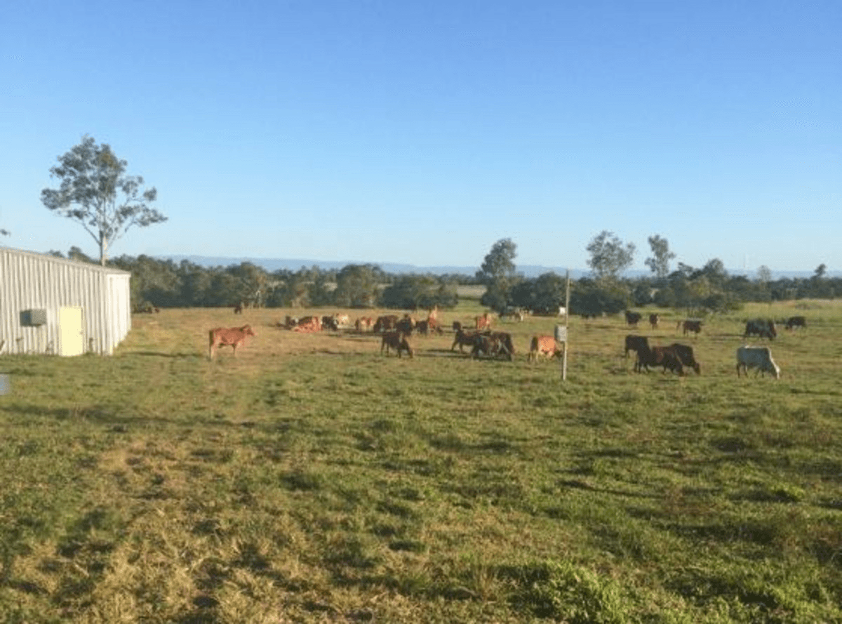 Bruce Highway, Bemerside, QLD 4850