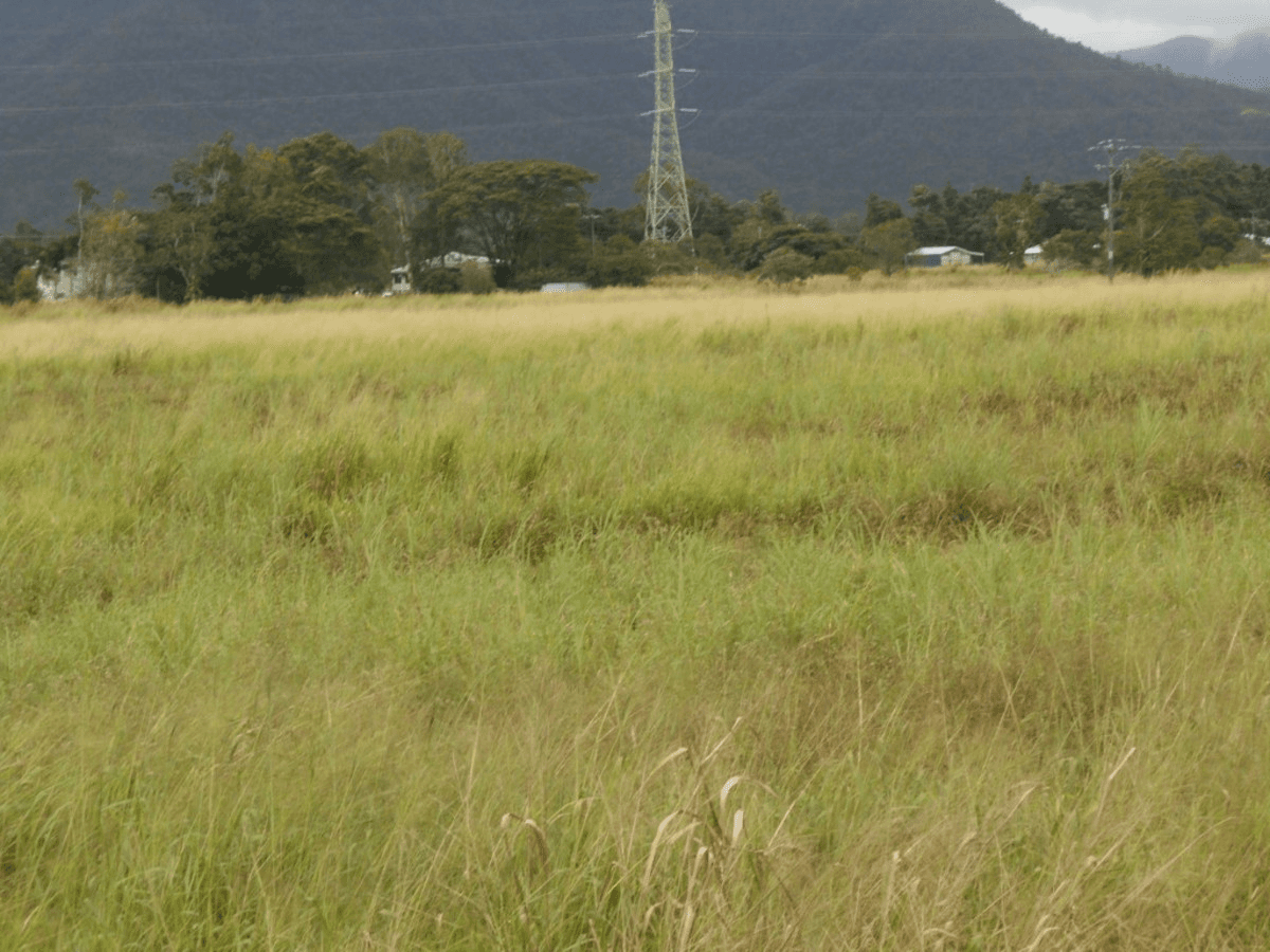 Bruce Highway, Bemerside, QLD 4850
