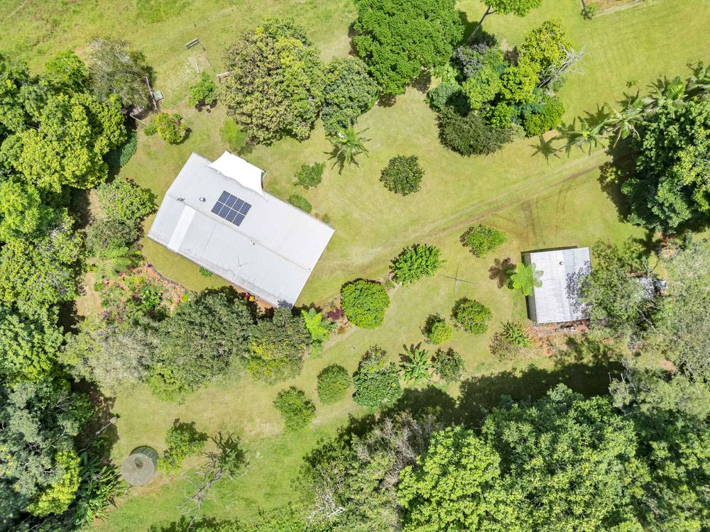 1463 Millaa Millaa Malanda Road, TARZALI, QLD 4885