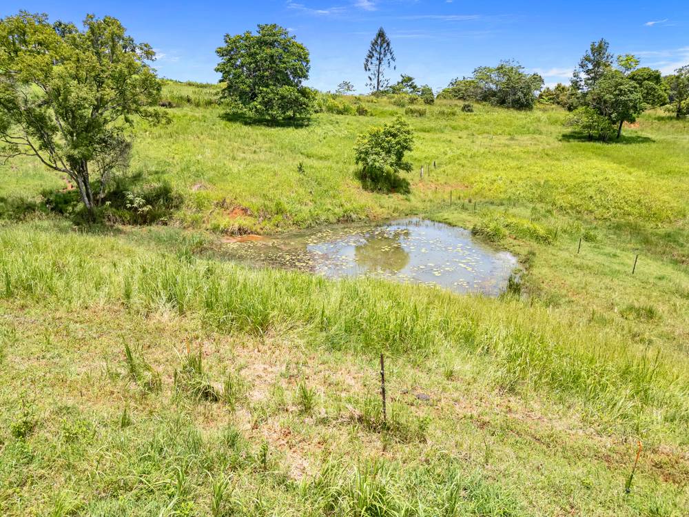 1463 Millaa Millaa Malanda Road, TARZALI, QLD 4885