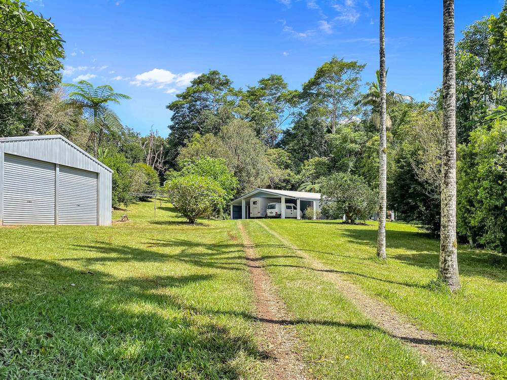 1463 Millaa Millaa Malanda Road, TARZALI, QLD 4885