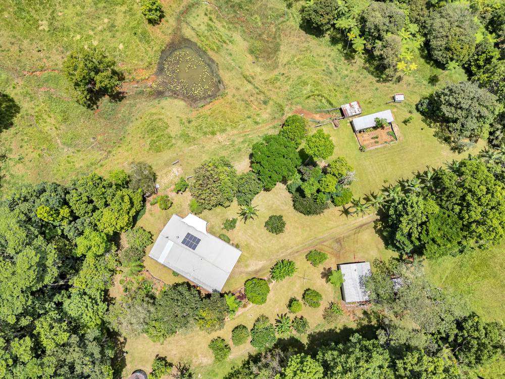 1463 Millaa Millaa Malanda Road, TARZALI, QLD 4885
