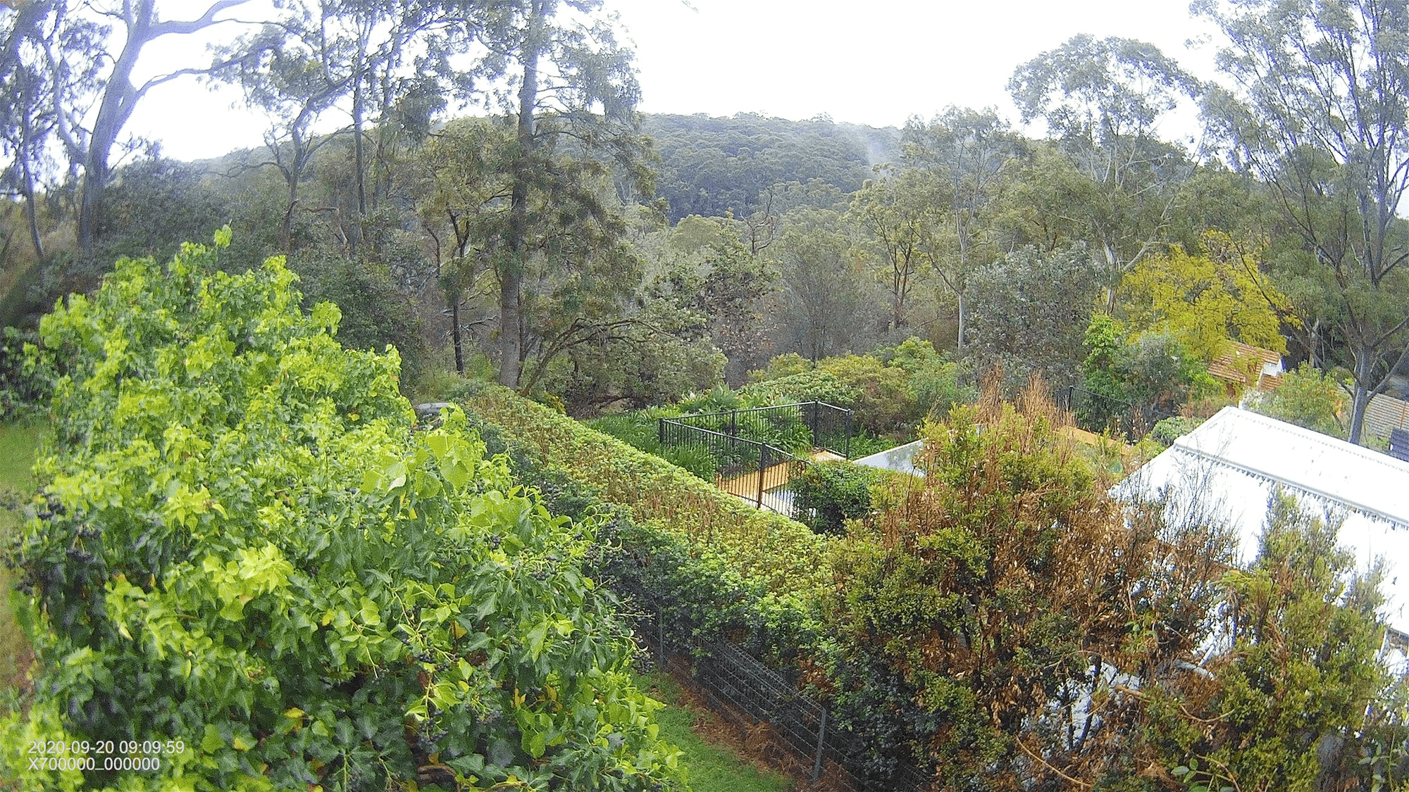 10 Braidwood Avenue, NORTH EPPING, NSW 2121
