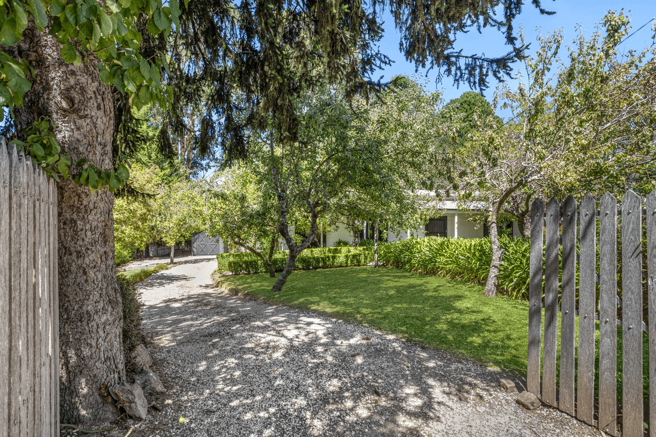 98 Central Springs Road, DAYLESFORD, VIC 3460