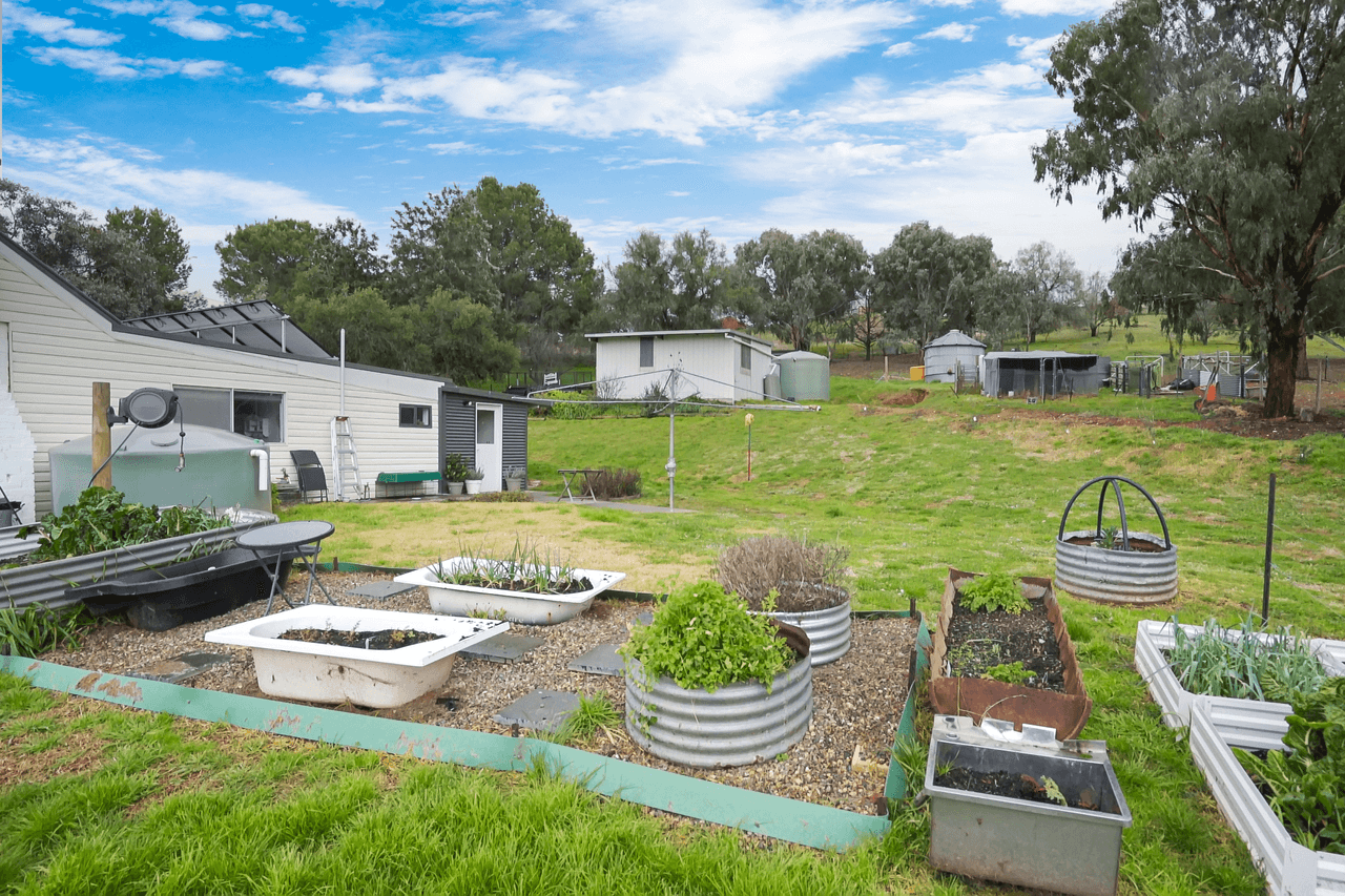 170 Pinkerton Road, COOTAMUNDRA, NSW 2590