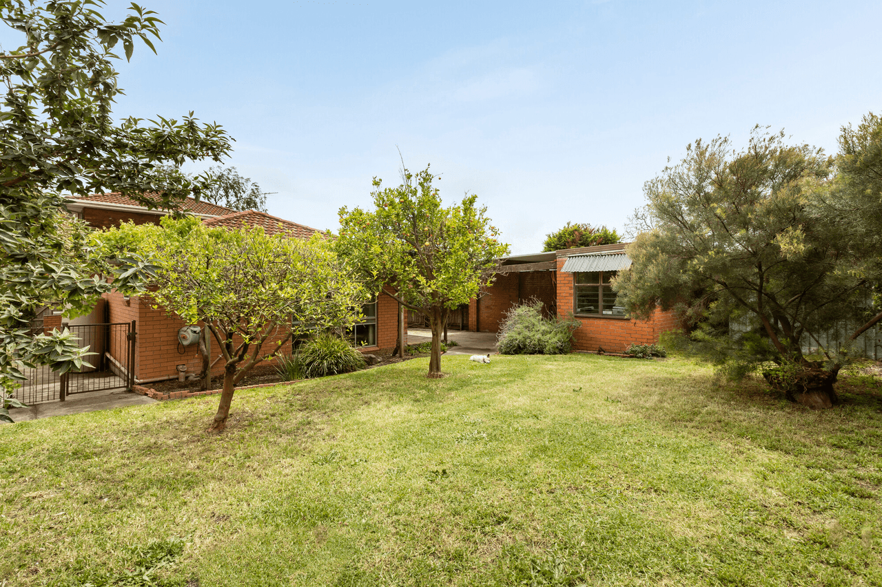 24 Fairview Avenue, Cheltenham, VIC 3192