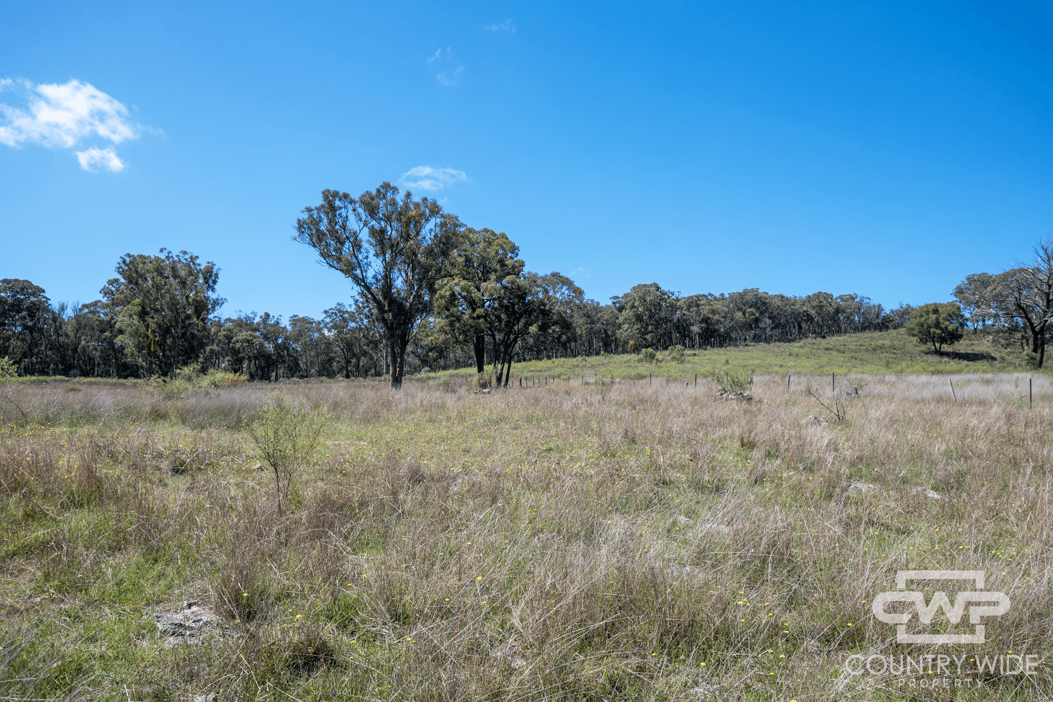 2202 Wellington Vale Road, EMMAVILLE, NSW 2371