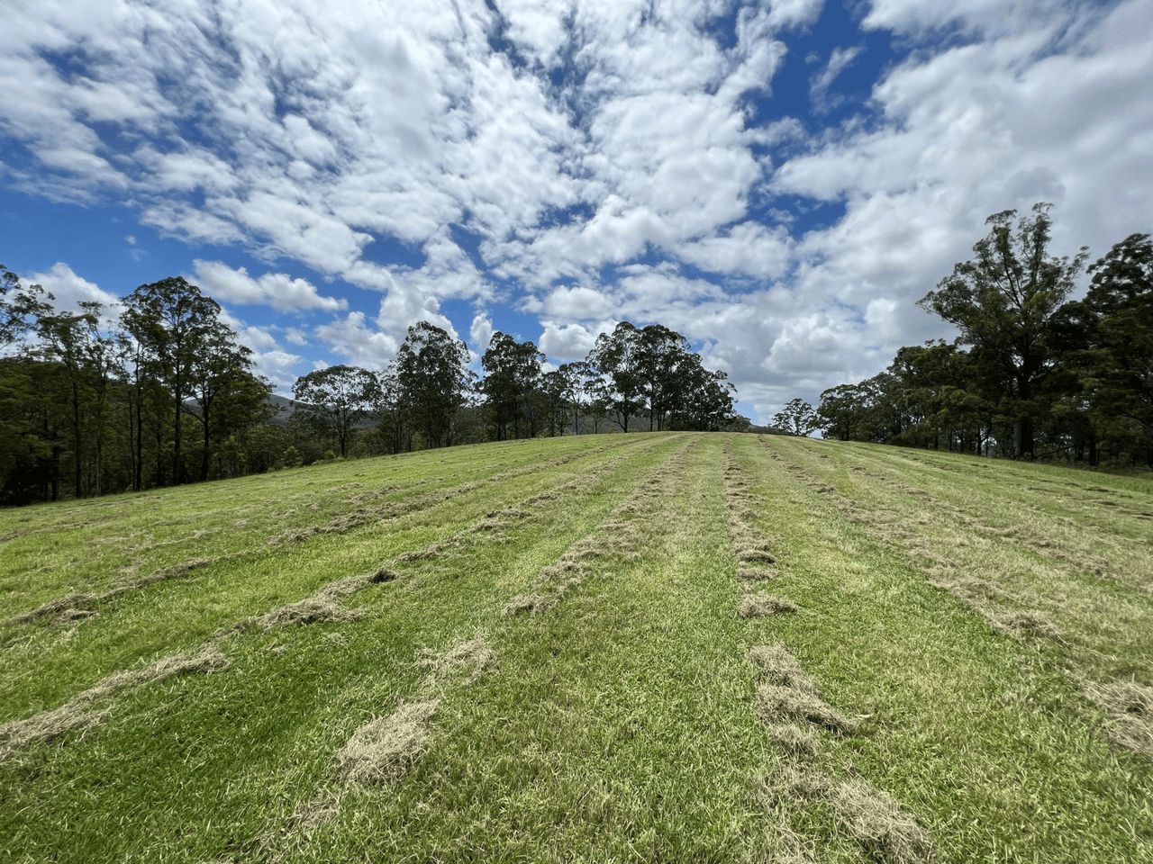 Lot 128 Nowendoc Road, MOUNT GEORGE, NSW 2424