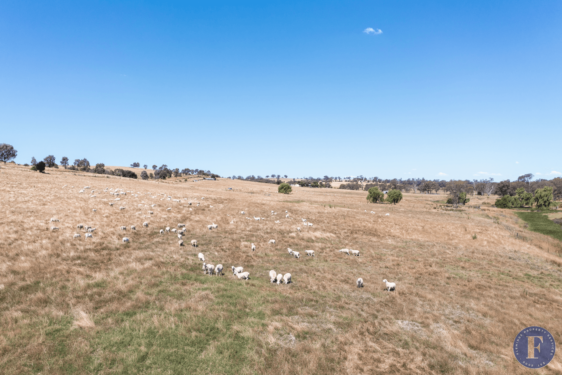 493 Scenic Road, Young, NSW 2594