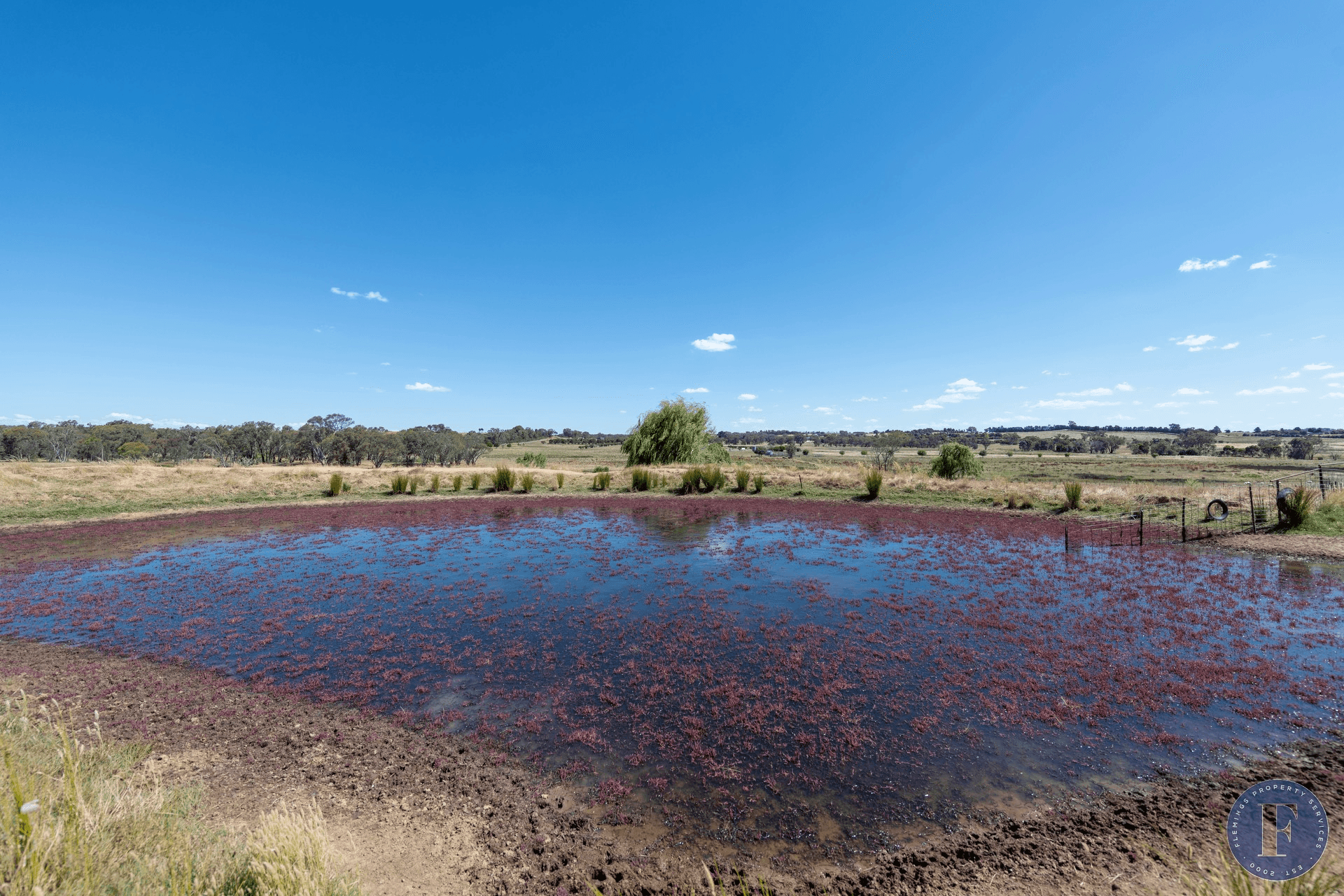 493 Scenic Road, Young, NSW 2594