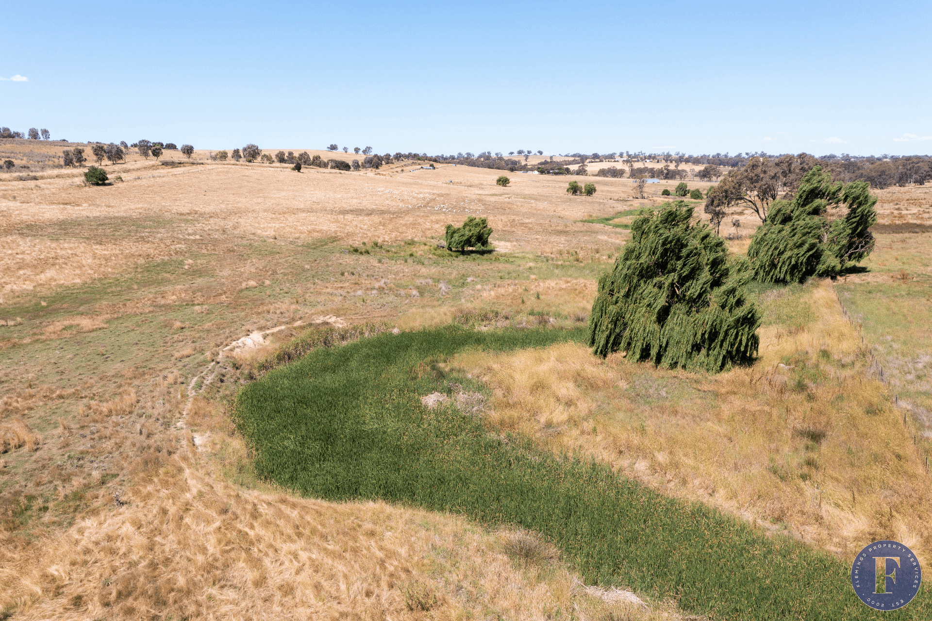 493 Scenic Road, Young, NSW 2594