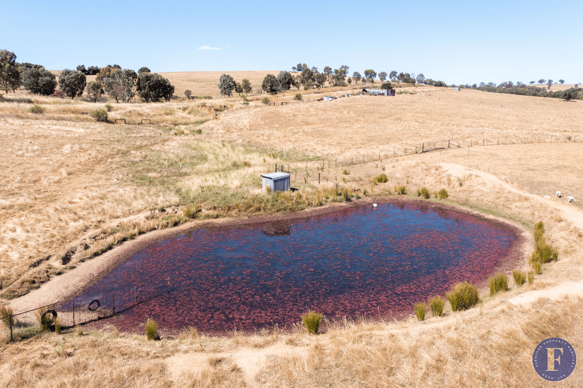 493 Scenic Road, Young, NSW 2594