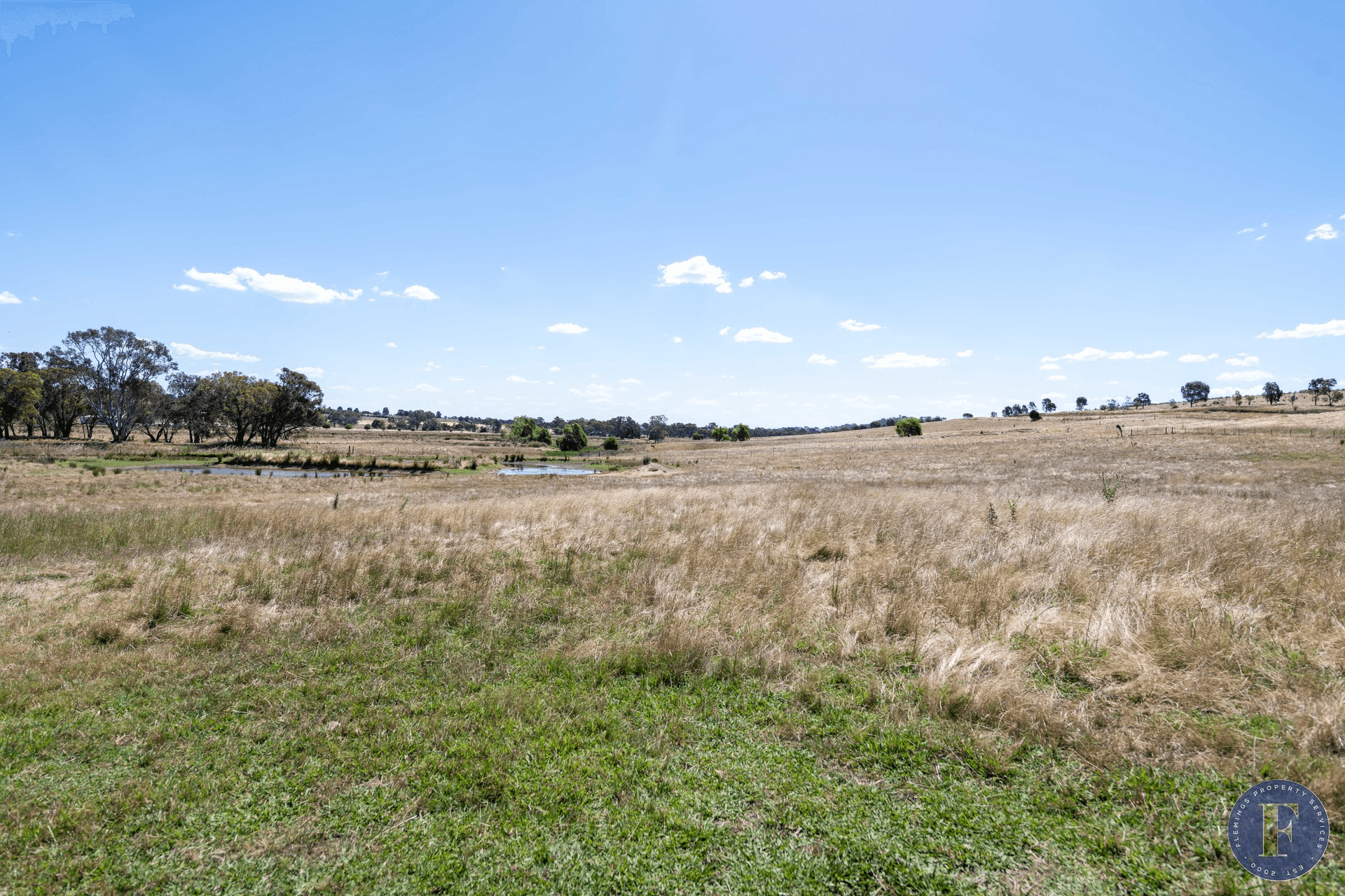 493 Scenic Road, Young, NSW 2594