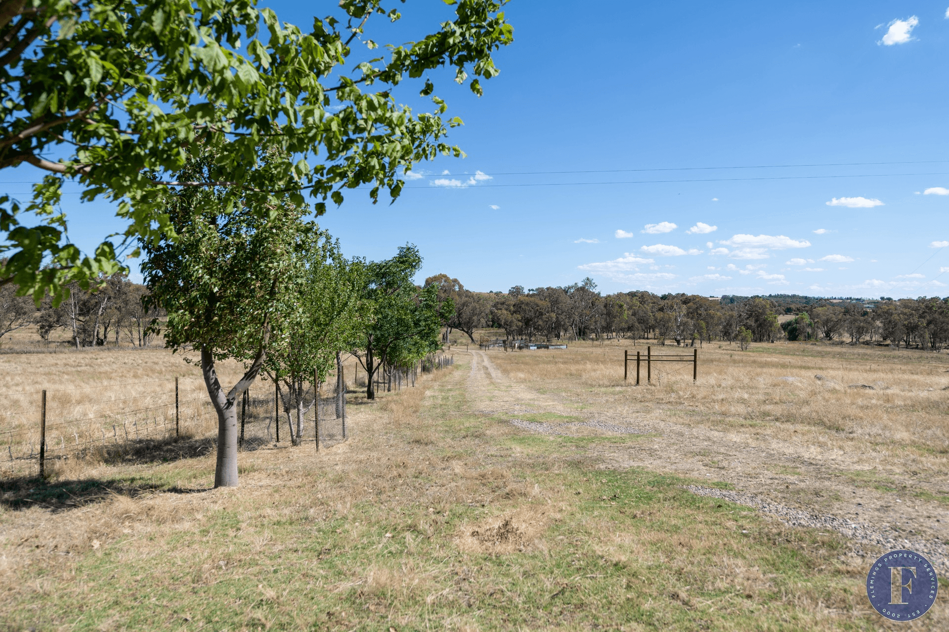 493 Scenic Road, Young, NSW 2594