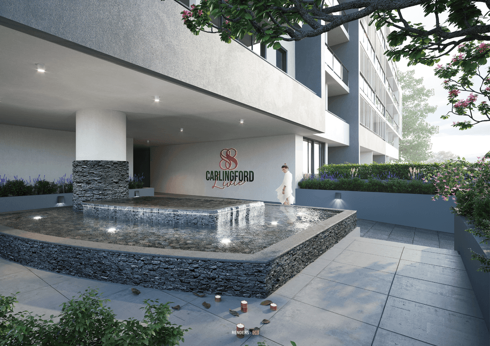 205/780-786 Pennant Hills Road, CARLINGFORD, NSW 2118