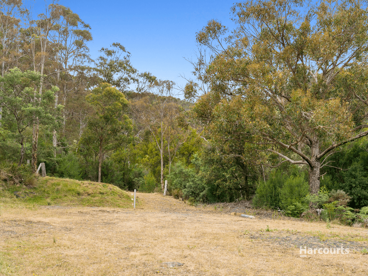 3780 Tasman Highway, ORIELTON, TAS 7172