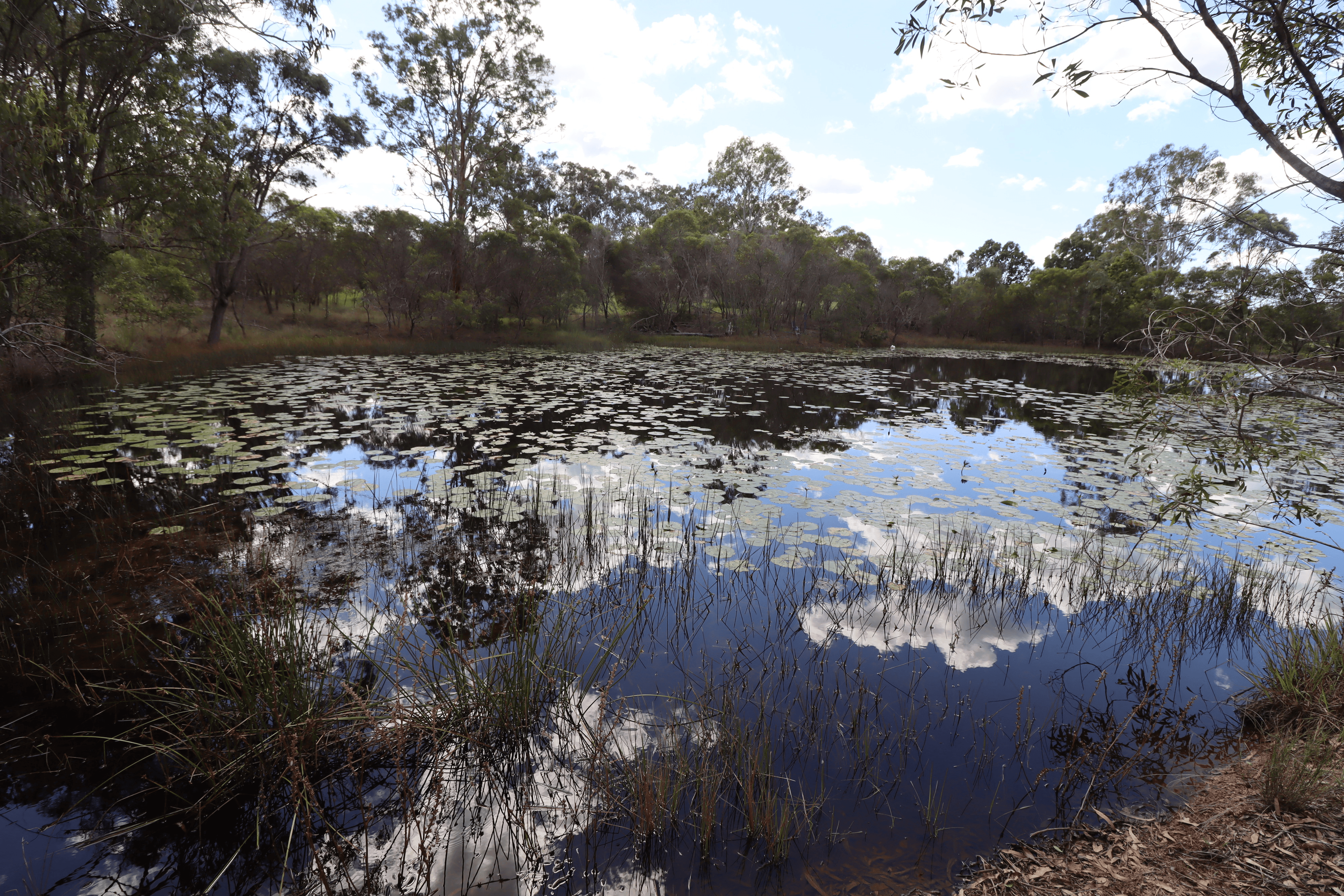 119 Monduran Road, YANDARAN, QLD 4673