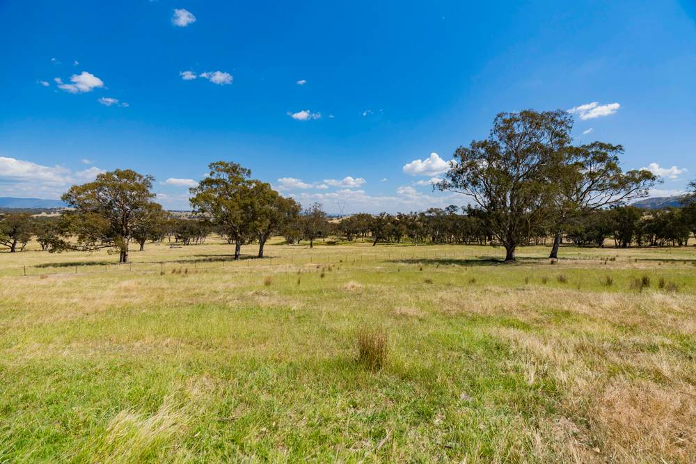 1721 Wee Jasper Road, TUMUT, NSW 2720