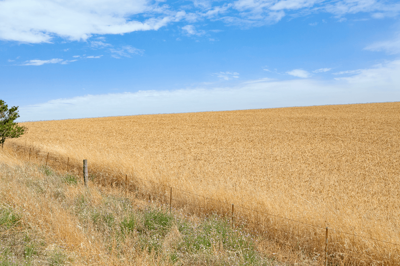 'Mutheralls' Gum Creek Road, HANSON, SA 5417